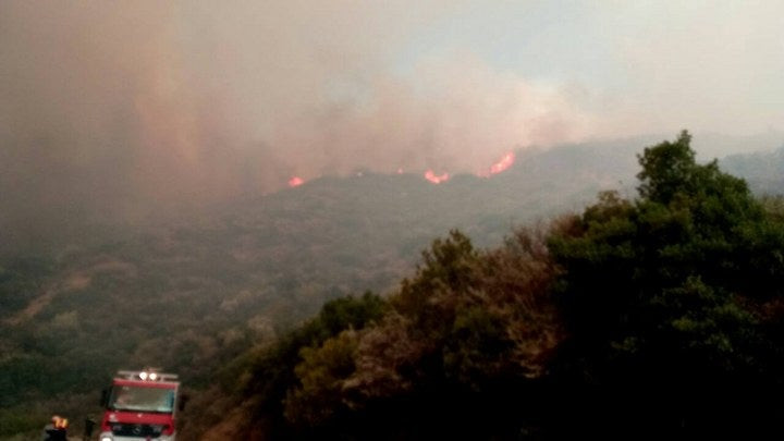 Φωτιά τώρα στο Μολύκρειο Ναυπακτίας (εικόνες)